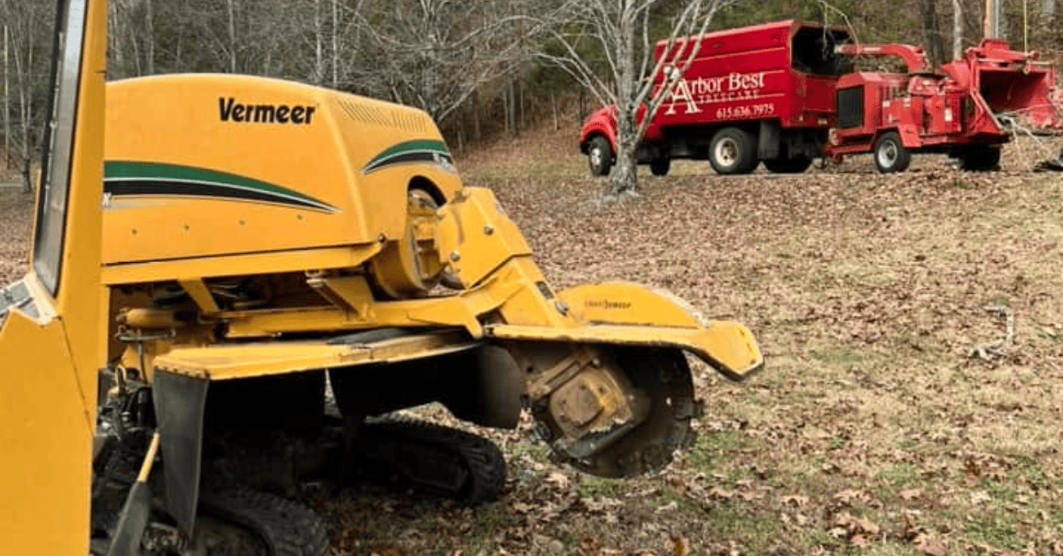 Arbor Best provides stump grinding in Middle Tennessee