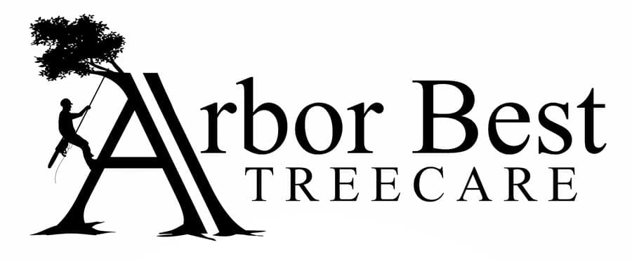 Arbor Best Tree Care